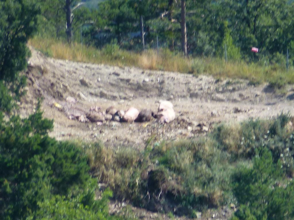 Hotel De Montana Uson Hecho Zewnętrze zdjęcie